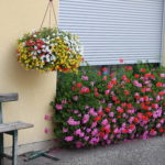 LAXENAIRE Christiane 1 rue R. Claudel (2)